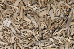 biomass boilers Carshalton Beeches